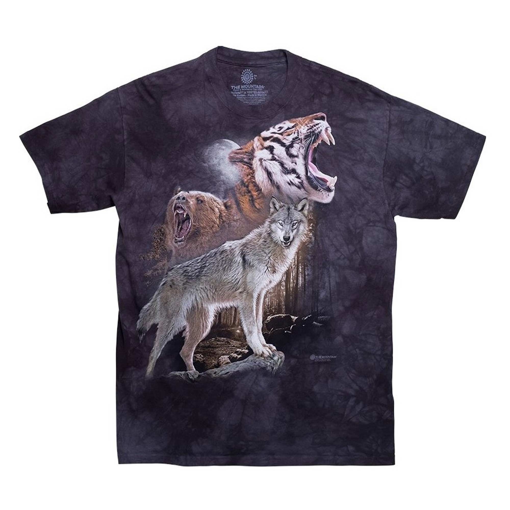 ALTAMONT T-Shirt NEEN x THE MOUNTAIN S/S black wash
