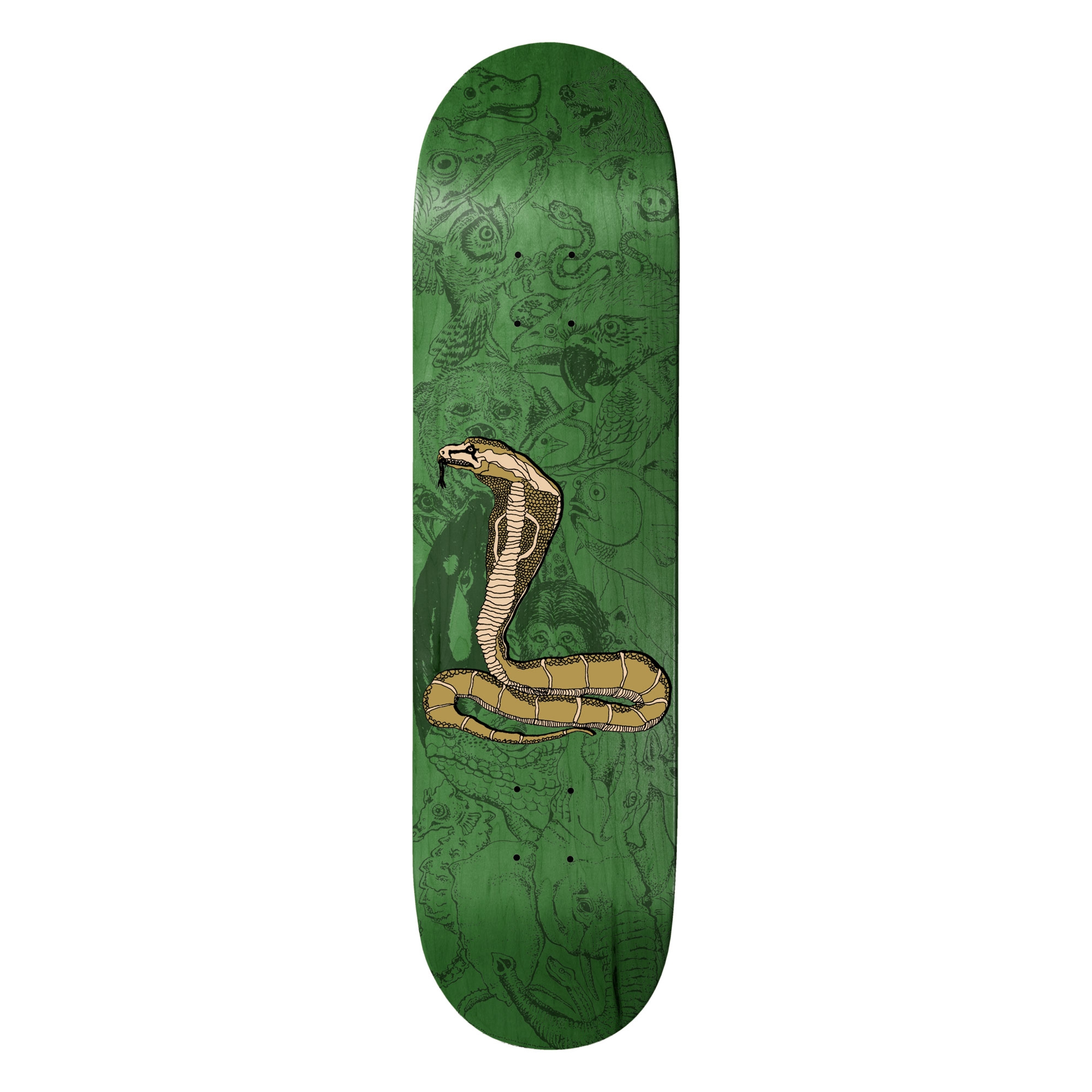 BAKER Deck PIRANHACONDA TB 8.25, green 8.2''