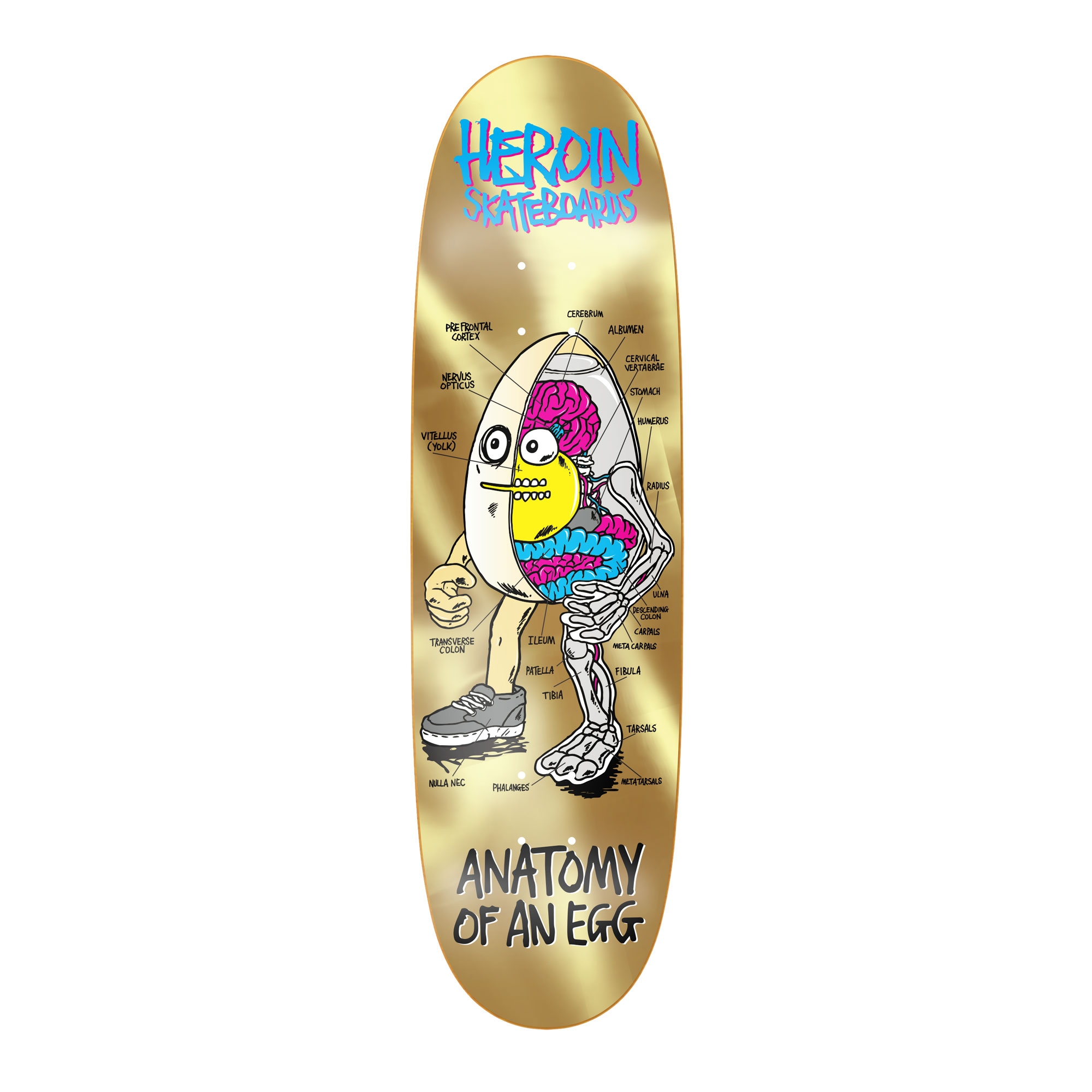 HEROIN Deck ANATOMY EGG GOLD 8.75, gold 8.7''